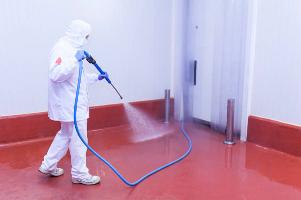 Best Roof Washing  in Seymour, IN